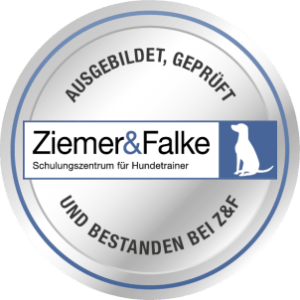 Zertifikat: Ziemer & Falke